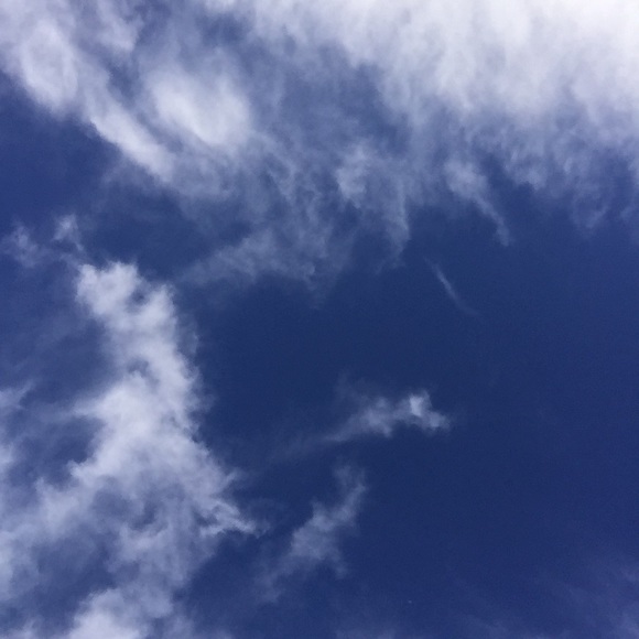 Meet your Posher, Tae - Picture 1 of 1